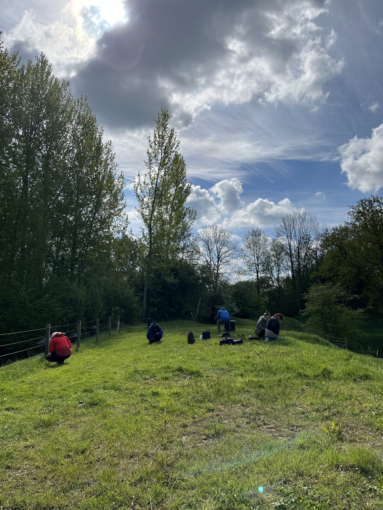 Key findings visualization