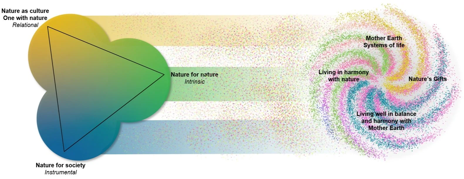 Wetland biodiversity visualization