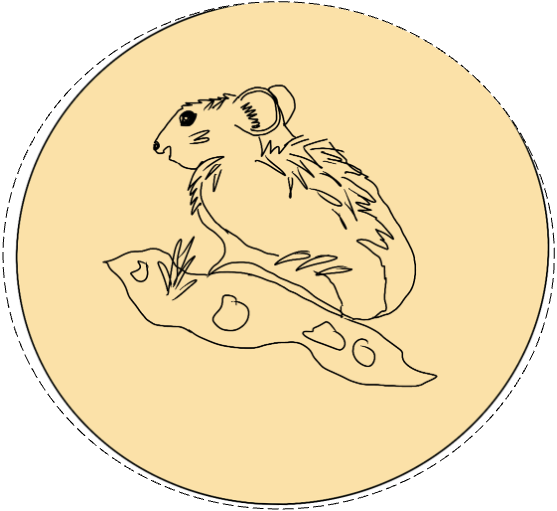 Pika project icon