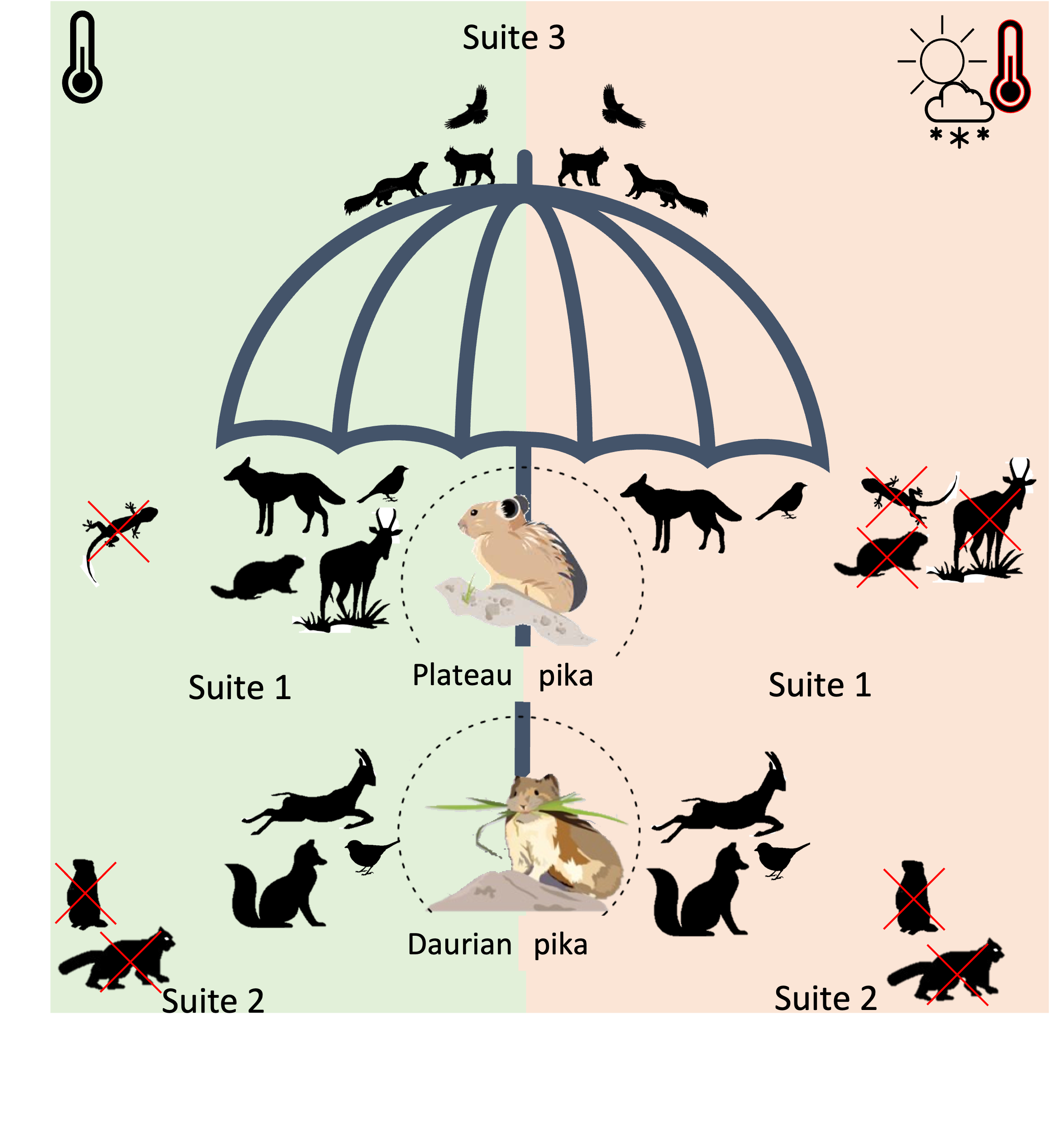 Key findings visualization