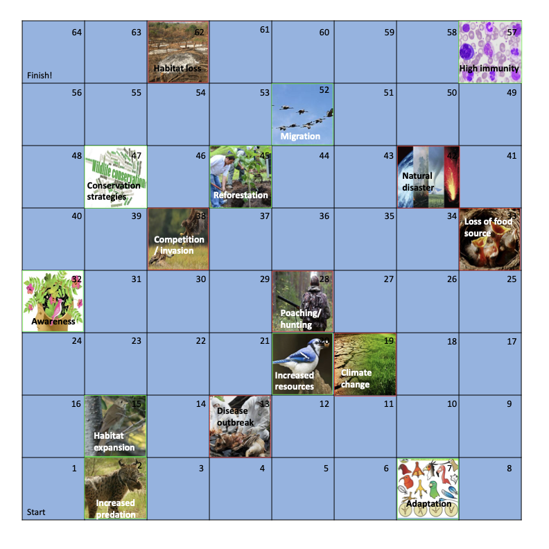 Bird Fortunes game board — a Snakes and Ladders style grid with good squares outlined in green and bad squares outlined in red