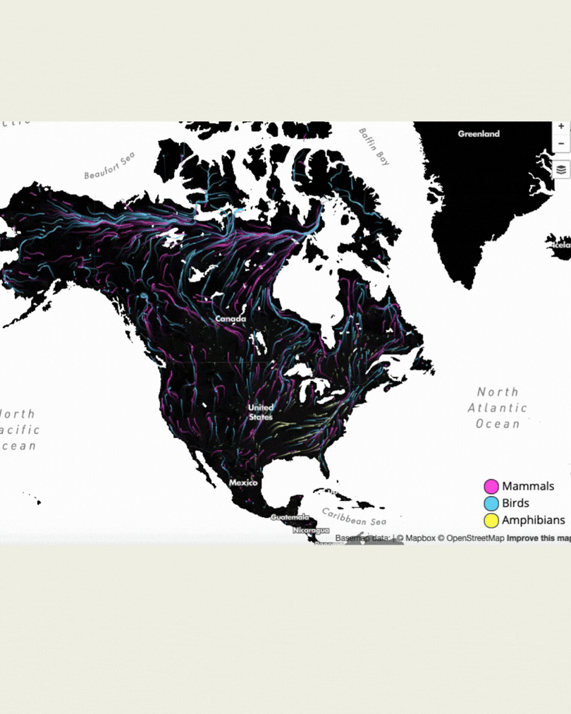 Pika habitat migration animation