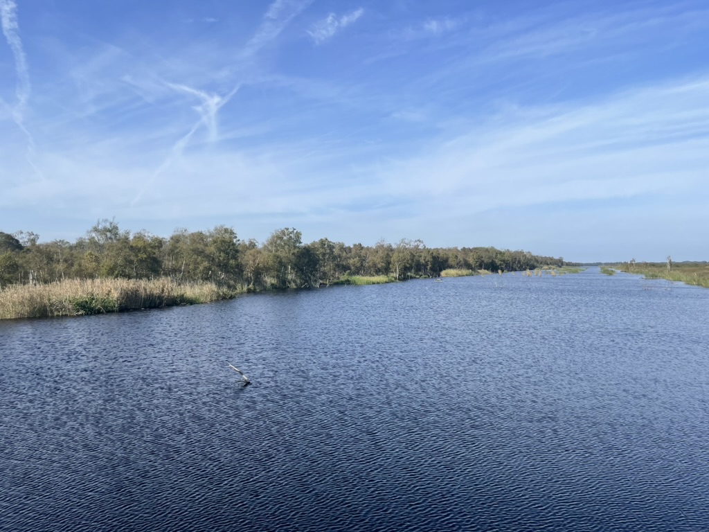 Pika habitat migration animation