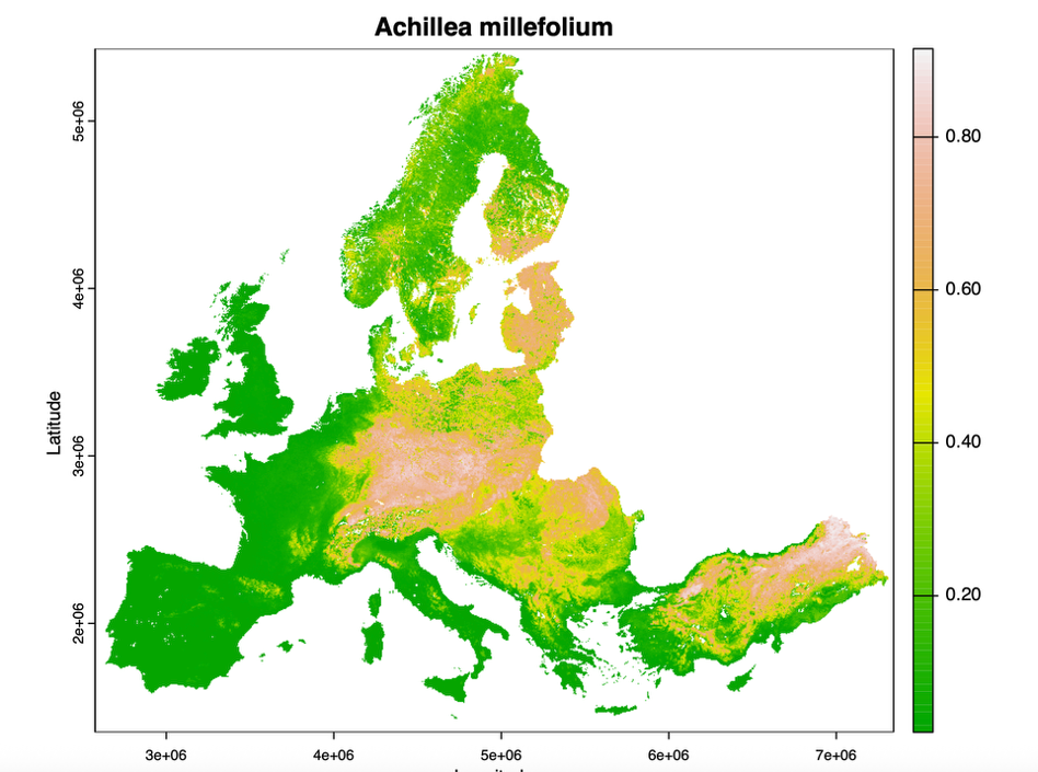 Project visualization