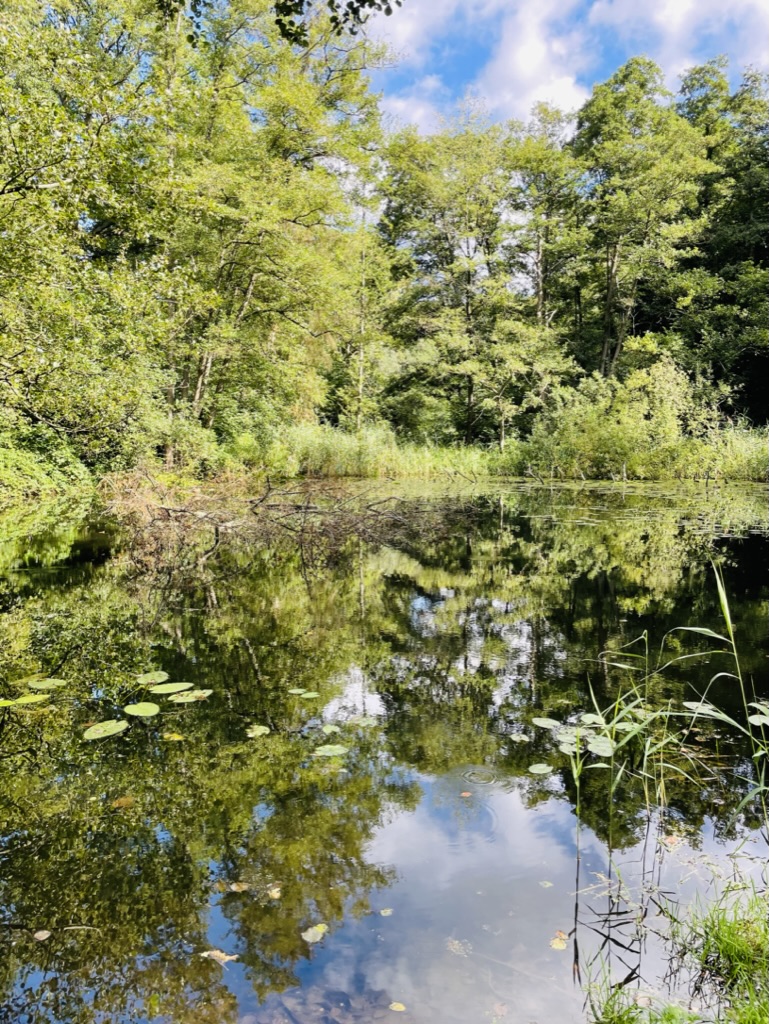 Project visualization