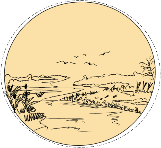 Wetlands project icon